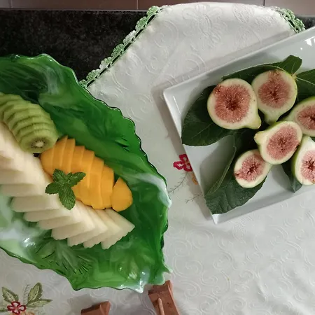 홈스테이 Terreno Mimosas 아베이루