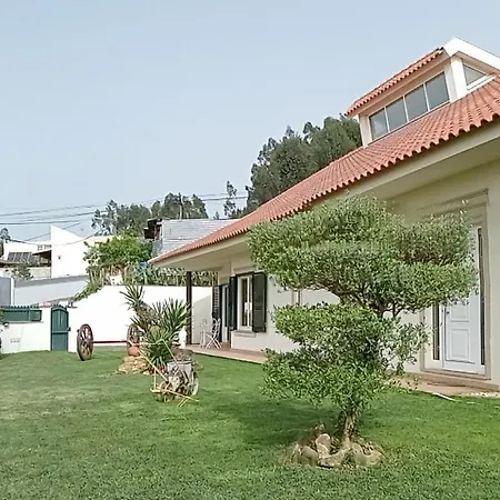 Terreno Mimosas Quarto em Acomodações Particulares