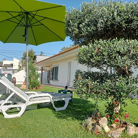 Homestay Terreno Mimosas Aveiro