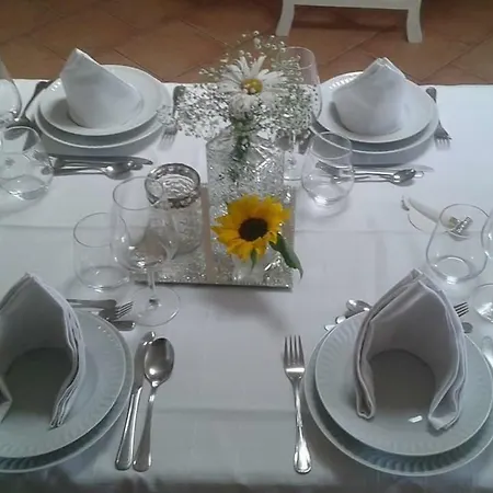 Homestay Terreno Mimosas Aveiro