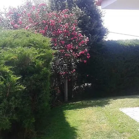 Terreno Mimosas