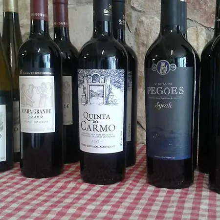 홈스테이 Terreno Mimosas *