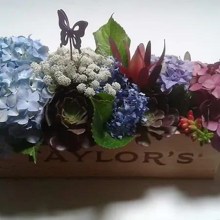 홈스테이 Terreno Mimosas *