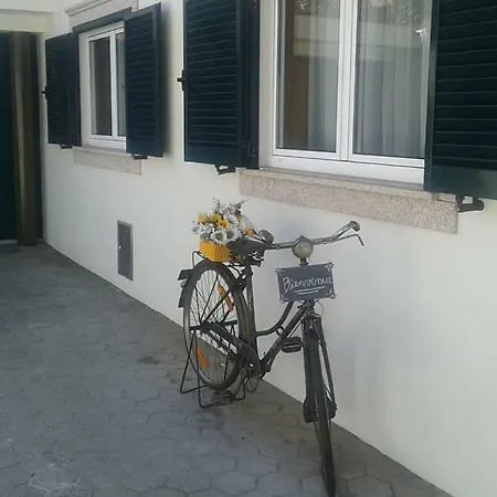 Terreno Mimosas Quarto em Acomodações Particulares Aveiro