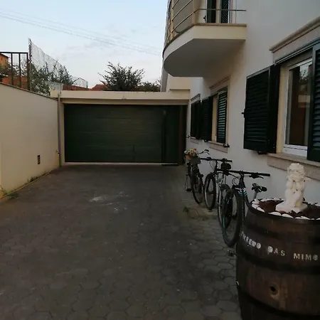 Terreno Mimosas Homestay *
