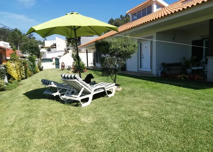 Terreno Mimosas Privatunterkunft Aveiro