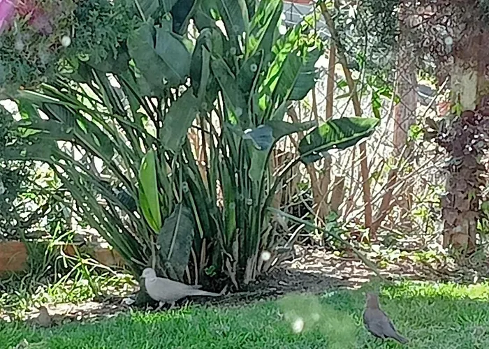 Terreno Mimosas Privatunterkunft