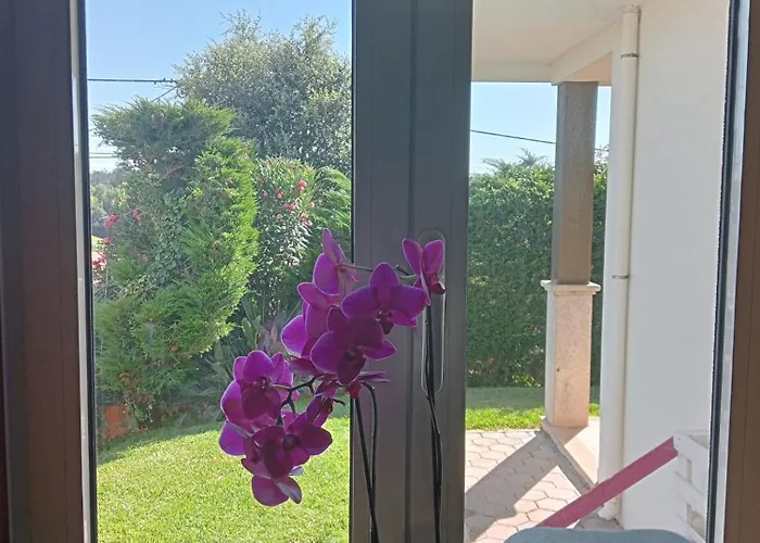 Terreno Mimosas Aveiro