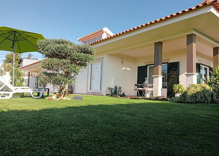 Terreno Mimosas Privatunterkunft Aveiro
