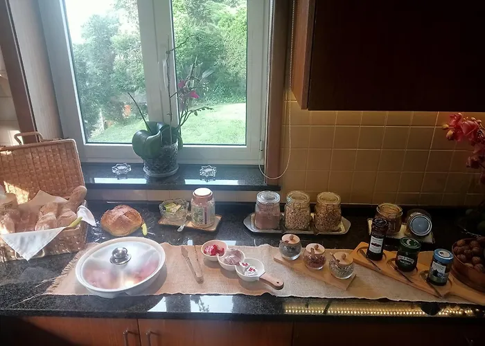 Terreno Mimosas Privatunterkunft Aveiro