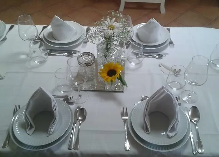 Privatunterkunft Terreno Mimosas Aveiro