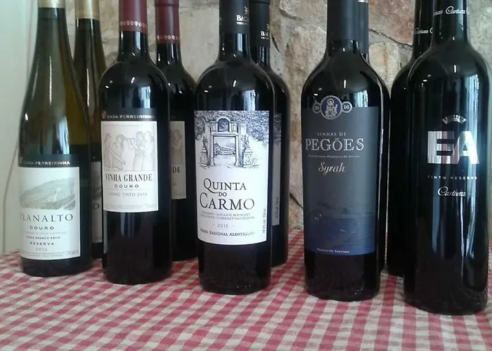 Privatunterkunft Terreno Mimosas *