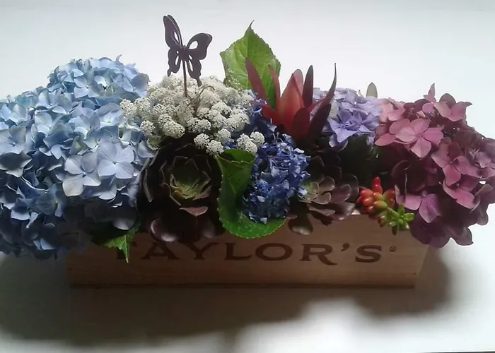 Privatunterkunft Terreno Mimosas *