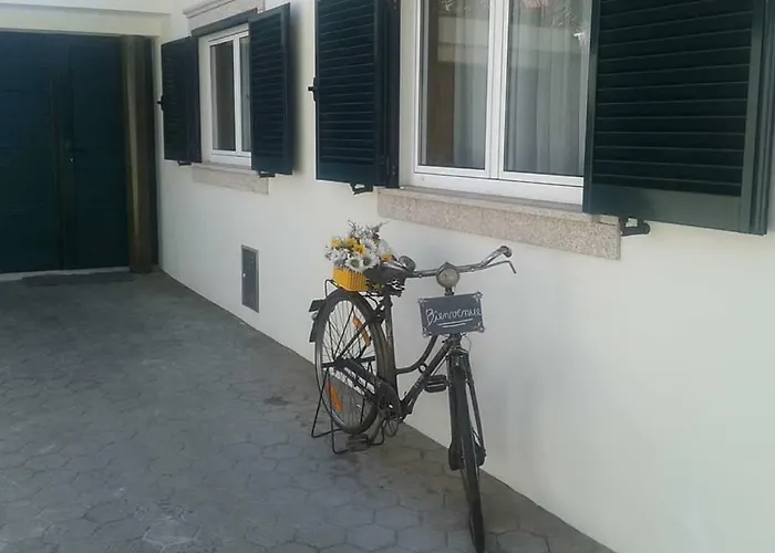 Terreno Mimosas Privatunterkunft Aveiro